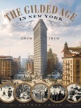 The Gilded Age in New York, 1870-1910 book summary, reviews and download