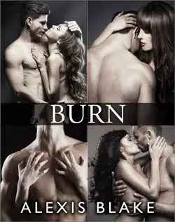 burn - complete series book cover image
