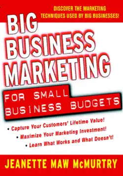 big business marketing for small business budgets book cover image