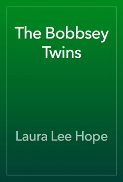 the bobbsey twins book cover image