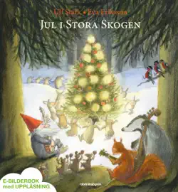 jul i stora skogen book cover image