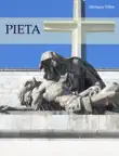 Pieta synopsis, comments