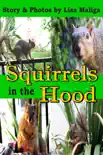 Squirrels in the Hood synopsis, comments