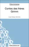 Contes des frères Grimm (Fiche de lecture) sinopsis y comentarios