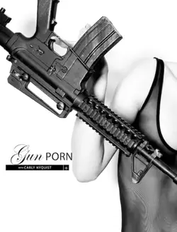 gun book cover image