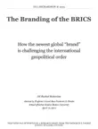 The Branding of the BRICS synopsis, comments