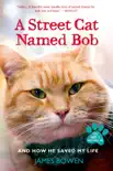 A Street Cat Named Bob synopsis, comments