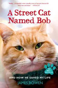 a street cat named bob book cover image