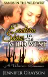 Sands in the Wild West: A Western Romance book summary, reviews and download