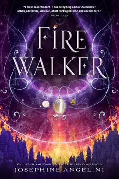 firewalker book cover image