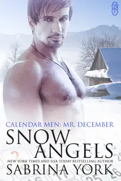 snow angels book cover image