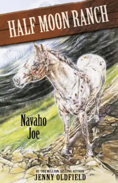 navaho joe book cover image