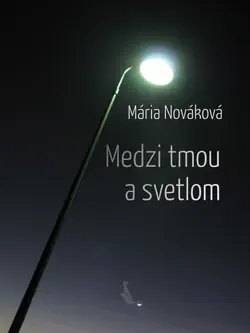 medzi tmou a svetlom imagen de la portada del libro