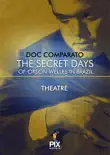 The secret days of Orson Welles in Brazil synopsis, comments