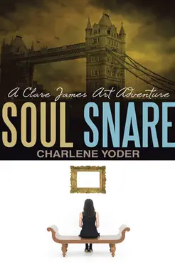 soul snare book cover image