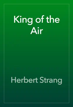 king of the air book cover image