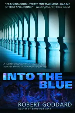 into the blue book cover image