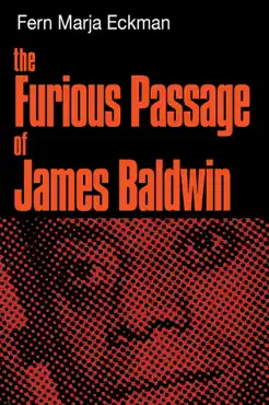 the furious passage of james baldwin book cover image