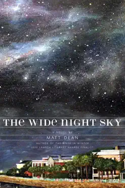 the wide night sky book cover image
