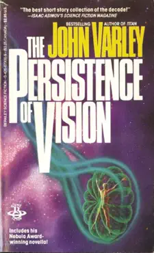 persistence of vision book cover image