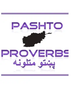 pashto proverbs book cover image