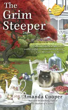 the grim steeper book cover image
