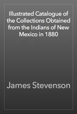 illustrated catalogue of the collections obtained from the indians of new mexico in 1880 book cover image