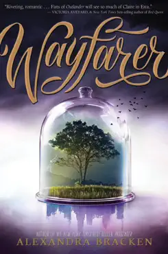 wayfarer book cover image