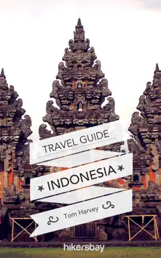 indonesia and bali travel guide and maps for tourists book cover image