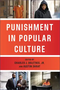 punishment in popular culture book cover image