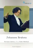 Johannes Brahms synopsis, comments