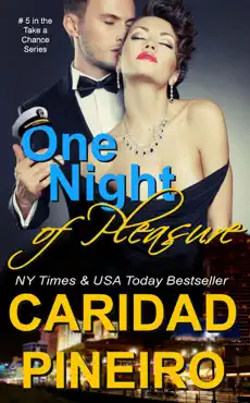 one night of pleasure book cover image