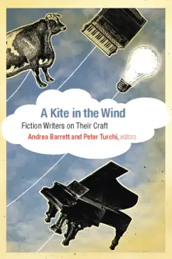 a kite in the wind book cover image