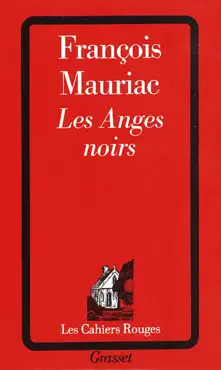 les anges noirs book cover image