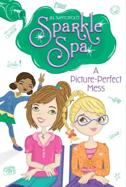 a picture-perfect mess book cover image