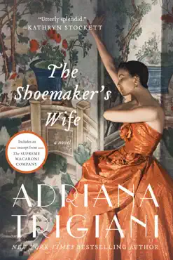 the shoemaker's wife book cover image