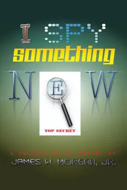 i spy something new book cover image
