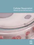 Cellular Respiration reviews