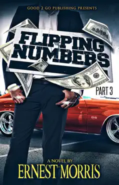 flipping numbers pt 3 book cover image