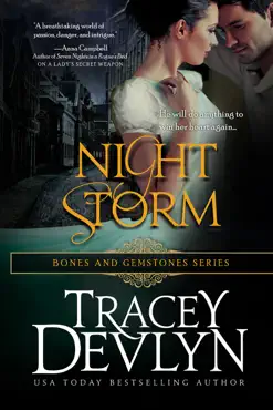 night storm book cover image