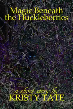 magic beneath the huckleberries book cover image