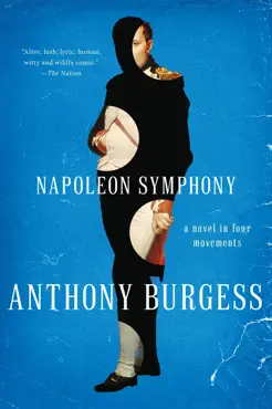 napoleon symphony: a novel in four movements book cover image