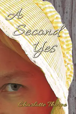 a second yes book cover image