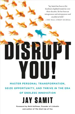 disrupt you! book cover image