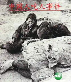 中国人吃人事件 book cover image