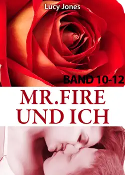 mr. fire und ich - band 10-12 book cover image