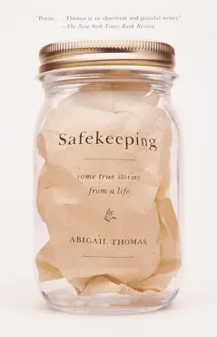safekeeping book cover image