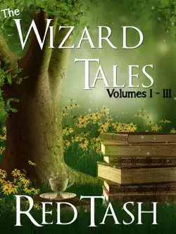 the wizard tales vol i-iii book cover image