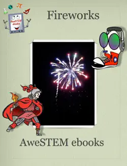 fireworks book cover image