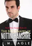 The Billionaire of Nottinghamshire, Book One synopsis, comments